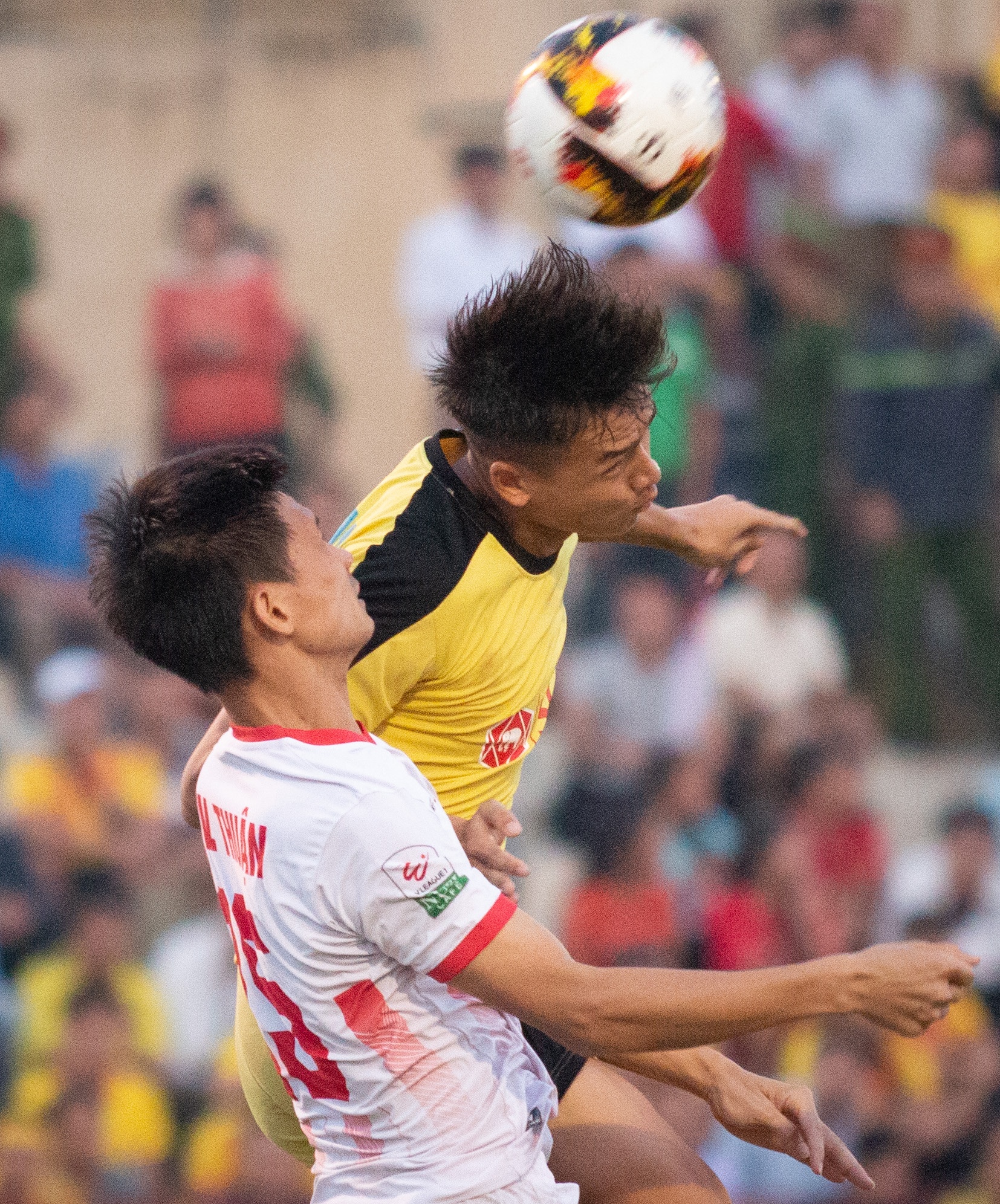 nam dinh tru hang anh 4