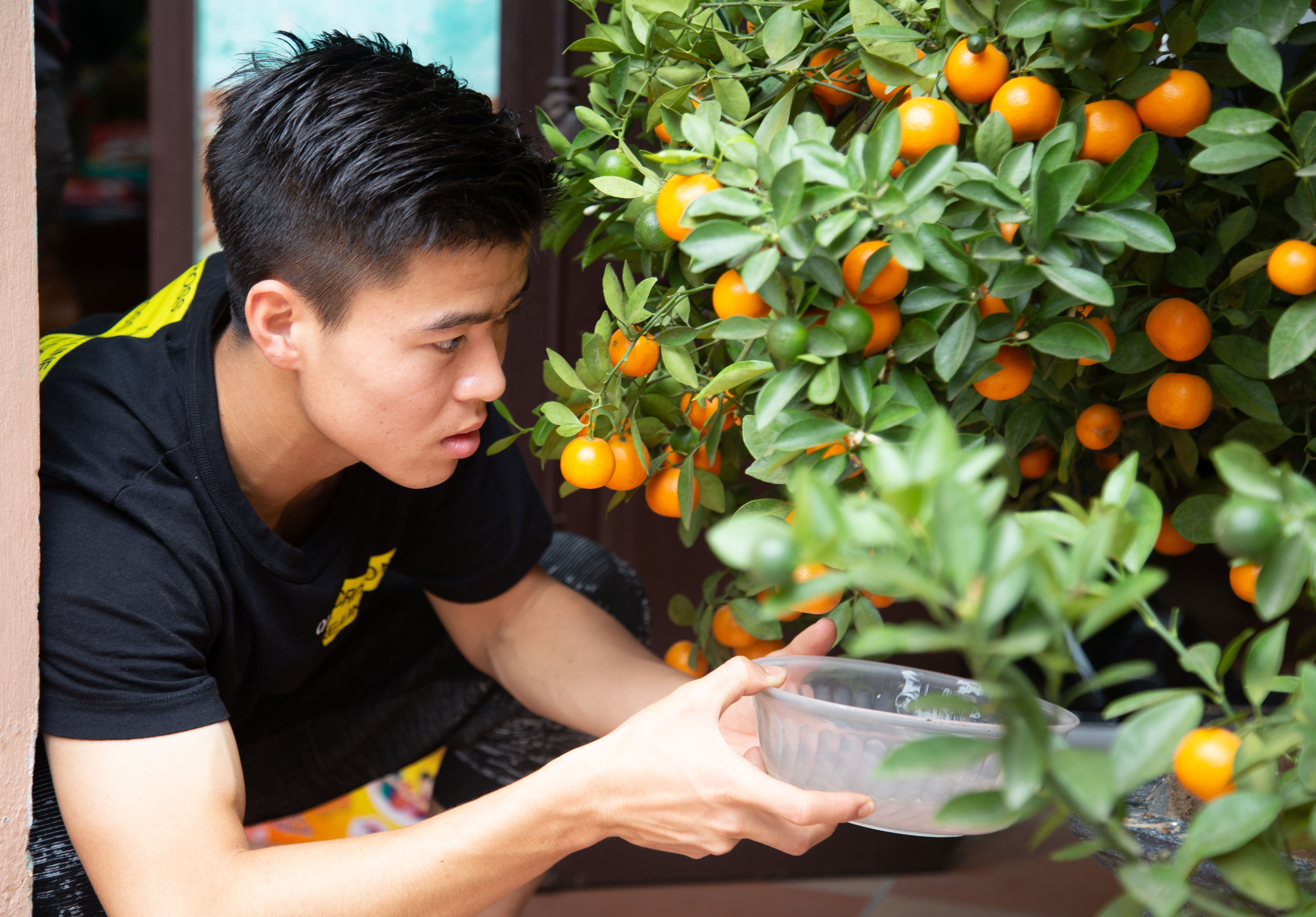 Duy Manh cung gia dinh cham soc, trang tri dao, quat truoc tet Ky Hoi hinh anh