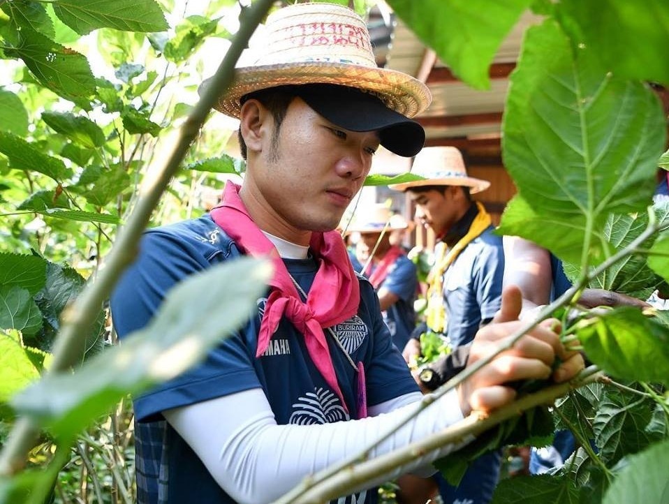 Xuan Truong lam nong dan di hai la dau, nuoi tam hinh anh