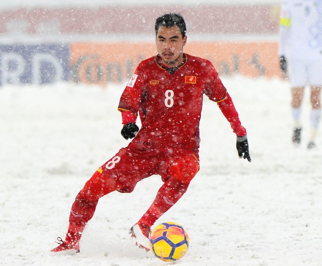 park hang seo việt nam ảnh 4 park hang seo viet nam anh 4