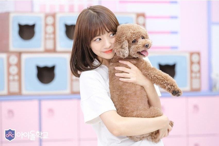 nu chinh mv nhung ke mong mo anh 14