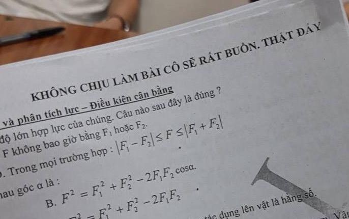 Giao vien Dak Lak nan ni hoc tro: 'Khong chiu lam bai co se rat buon' hinh anh