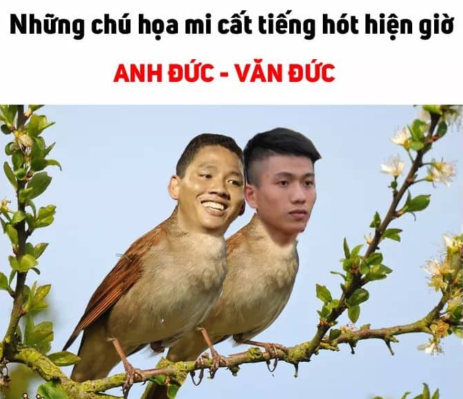 anh che ban ket anh 4