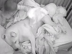 Be gai nam ngu cung chu cho nang hon 45 kg vi so dong dat hinh anh