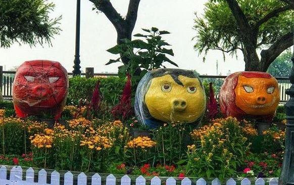 Tuong heo chao xuan o Sai Gon, Dong Nai bi dan mang che xau, kinh di hinh anh