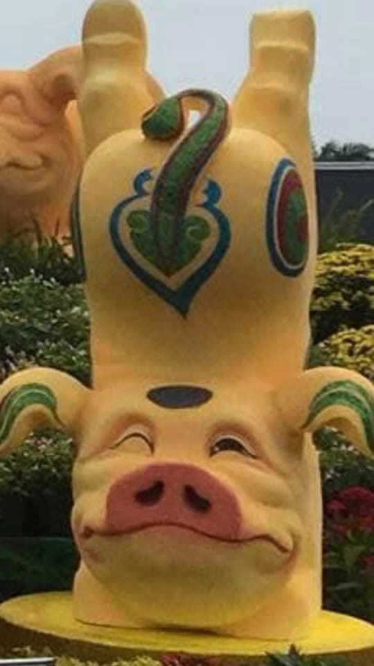 tuong heo Tet Ky Hoi anh 5