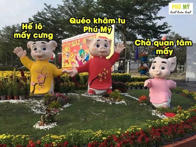 tuong heo ngay Tet anh 6