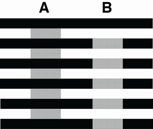 tranh gay ao giac anh 3
