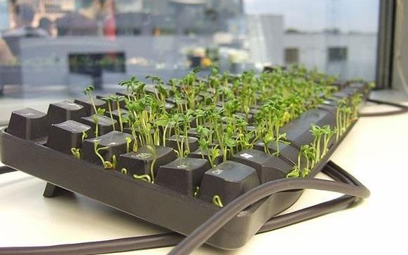 Nhung man 'troll' Ca thang Tu kinh dien kieu gi cung thanh cong hinh anh