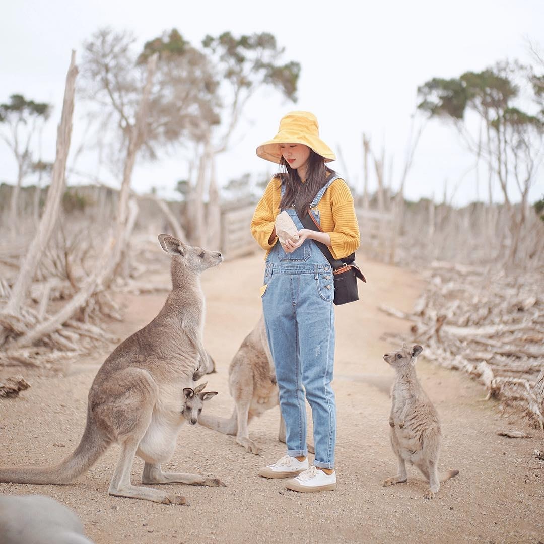 hot girl Pimtha du lich anh 8