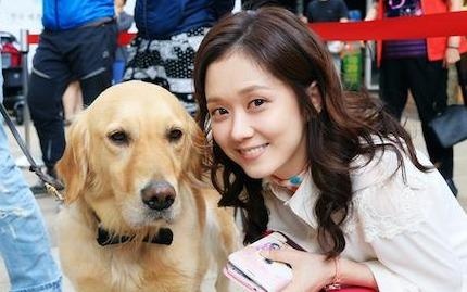 Ban ron voi cong viec, nguoi Han Quoc cho thu cung di hoc mau giao hinh anh