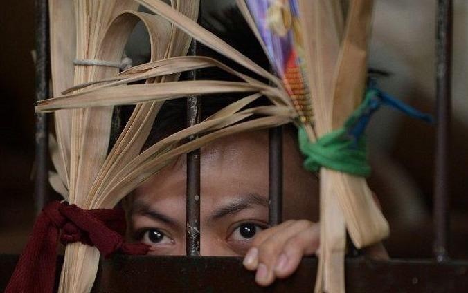 Tre em Philippines bi bao hanh, lam dung tai cac 'ngoi nha hy vong' hinh anh
