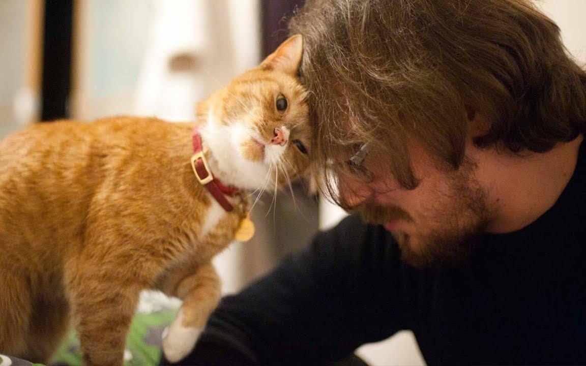 Ngai ket hon, so co don, gioi tre Trung Quoc nuoi thu cung nhu con hinh anh