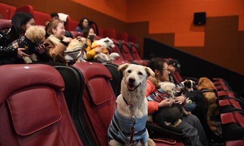 gioi tre Trung Quoc nuoi thu cung anh 3