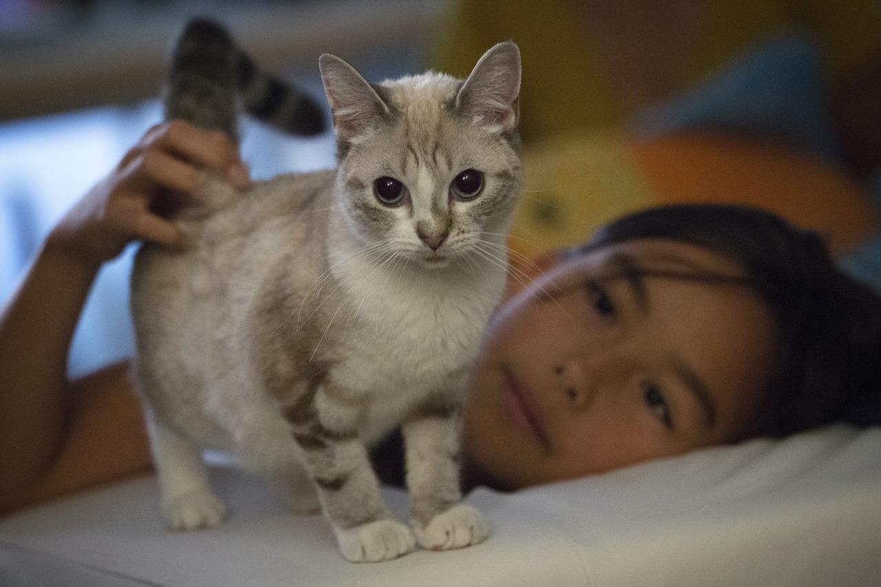 gioi tre Trung Quoc nuoi thu cung anh 2