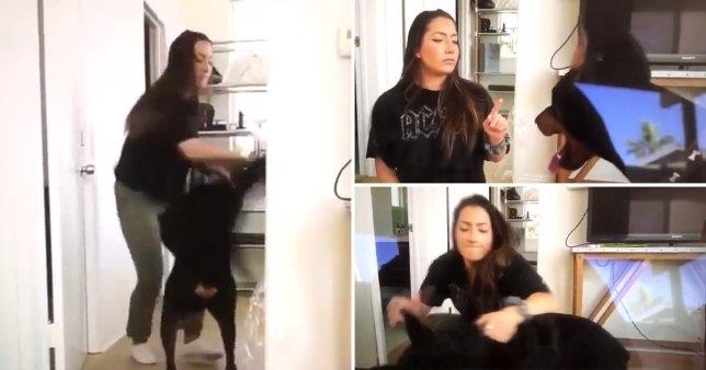 vlogger ngược đãi động vật ảnh 1 vlogger nguoc dai dong vat anh 1
