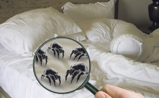 hâm nóng tình cảm ảnh 3 ham nong tinh cam anh 3