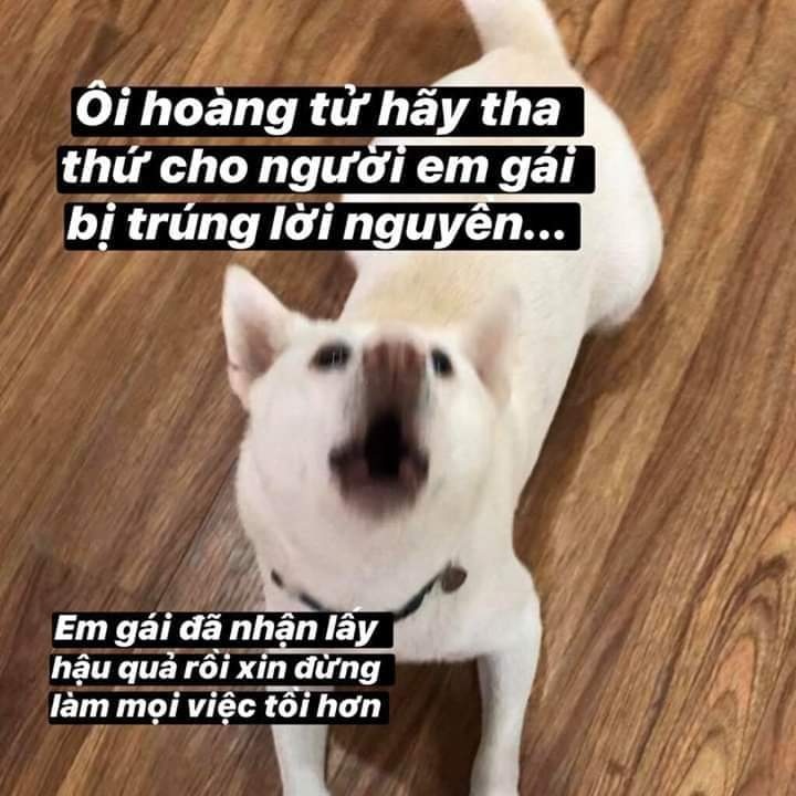 ôi hoàng tử ảnh 9 oi hoang tu anh 9