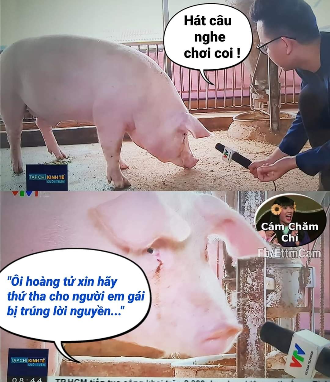 ôi hoàng tử ảnh 10 oi hoang tu anh 10