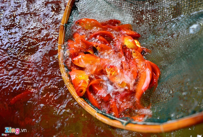 tha ca ngay ong tao anh 1