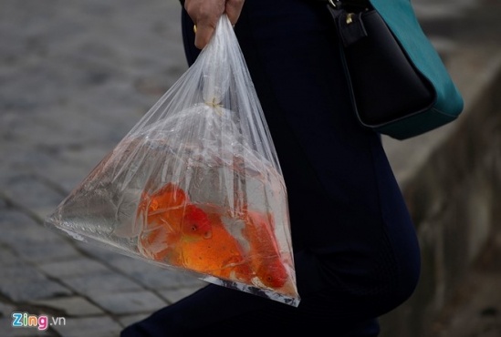 tha ca ngay ong tao anh 5