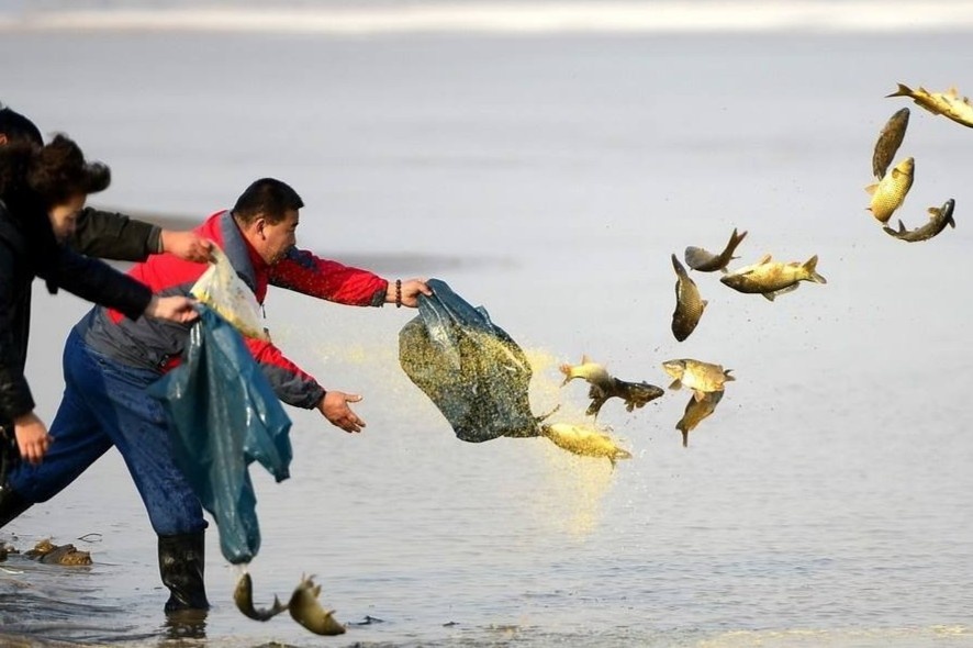 Tha ca, phong sinh o at dip le Tet - tao phuc hay gay toi? hinh anh