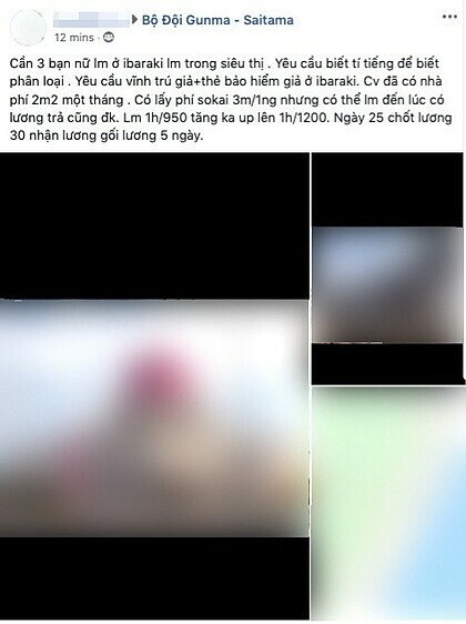 thuc tap sinh viet tai nhat anh 1