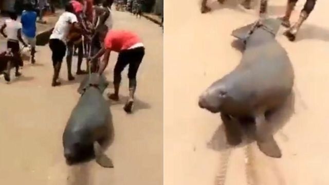 Clip nhom nguoi keo le lon bien giua duong pho gay phan no hinh anh