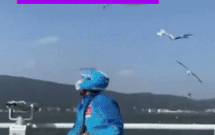 Shipper nhan duoc don hang giao thuc an cho hai au hinh anh