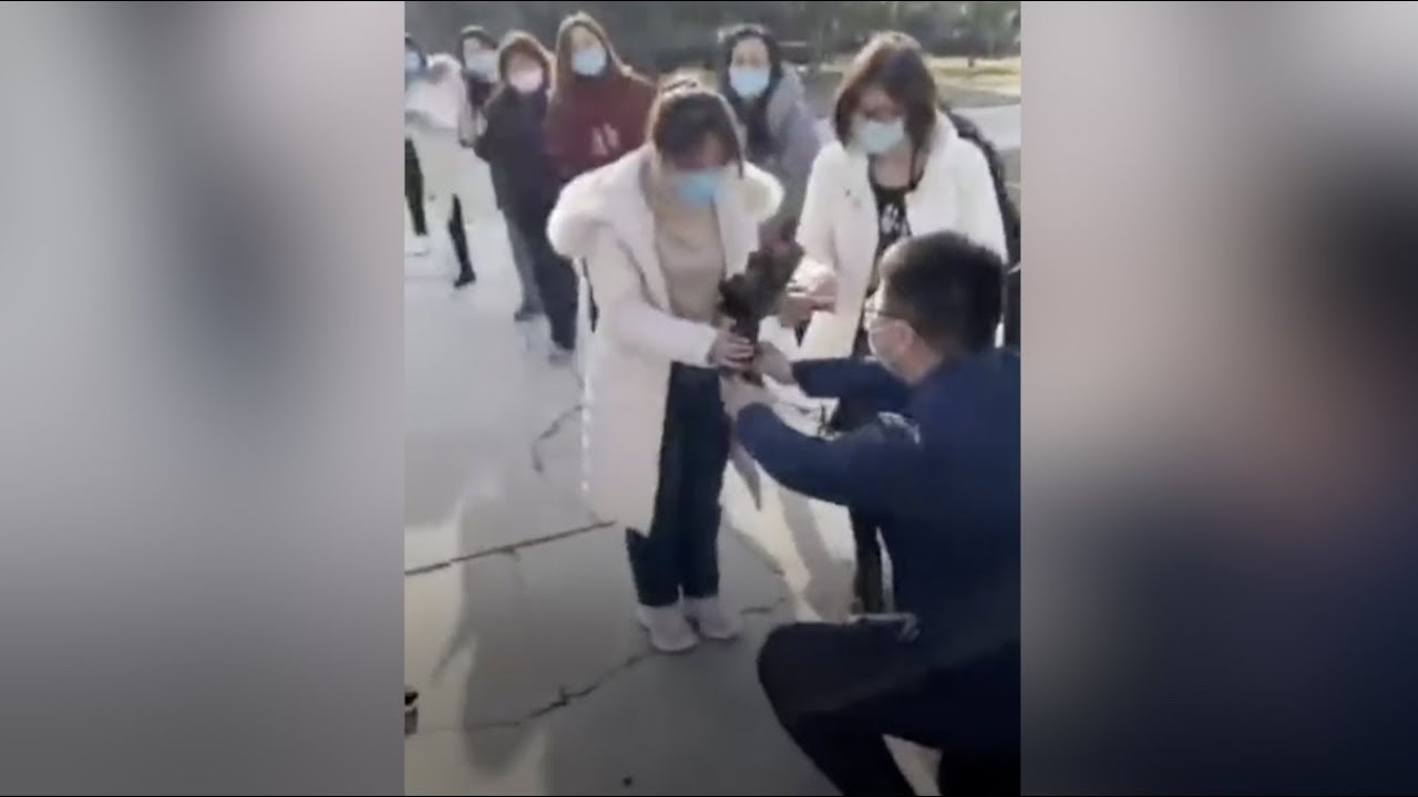 Tung hoan cuoi vi di chong Covid-19, nu bac si duoc cau hon lan thu 2 hinh anh