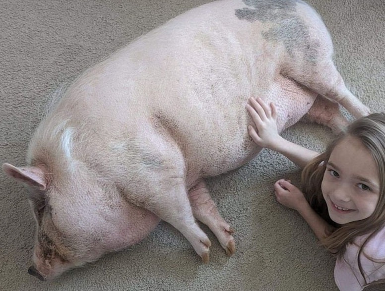 Be gai 9 tuoi thanh lap to chuc giai cuu lon bi bo roi hinh anh