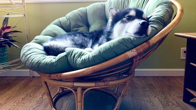 goc lam viec tai nha anh 6