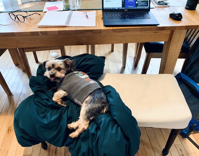 goc lam viec tai nha anh 7