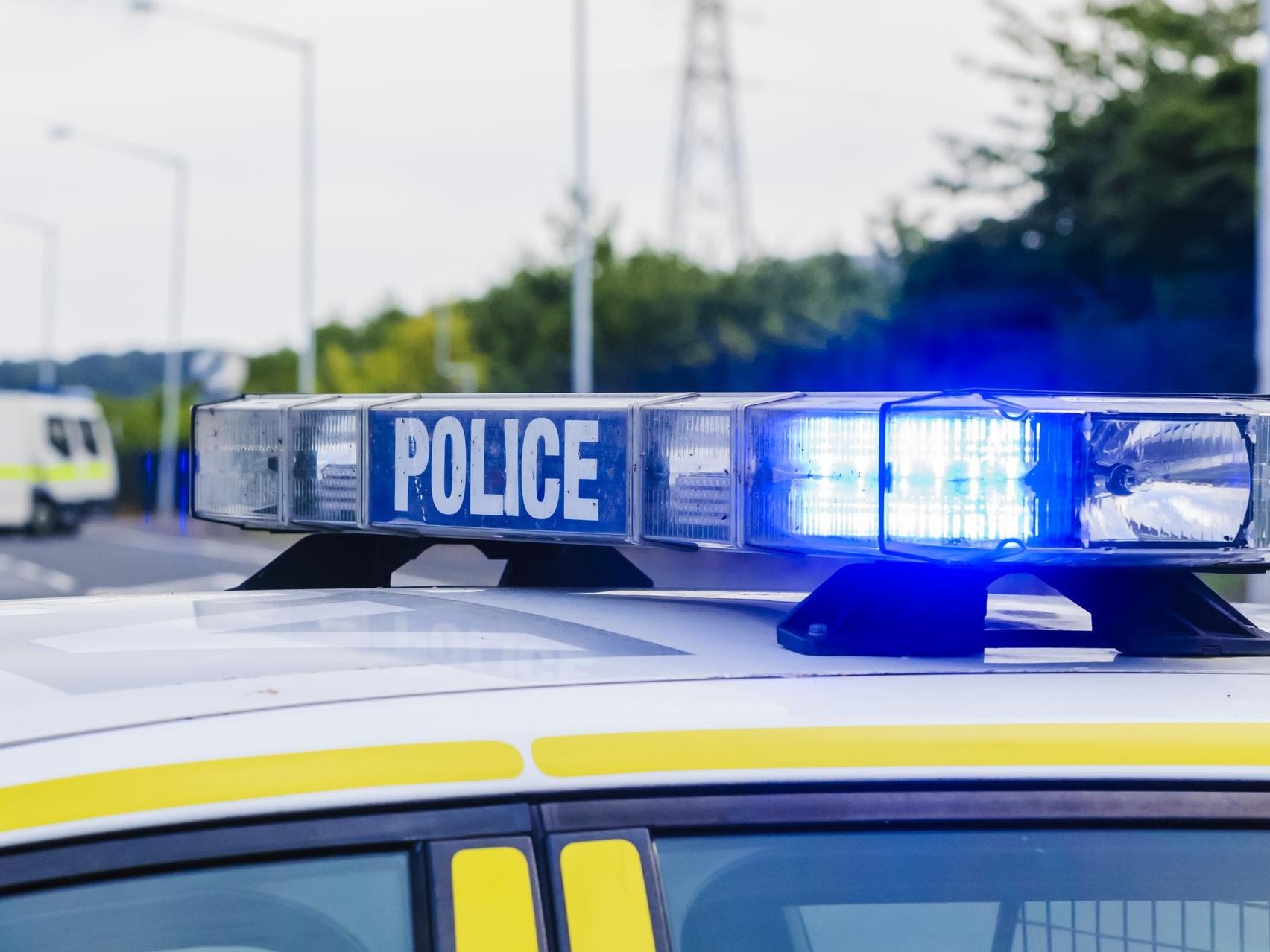 nho nuoc bot vao canh sat anh 1