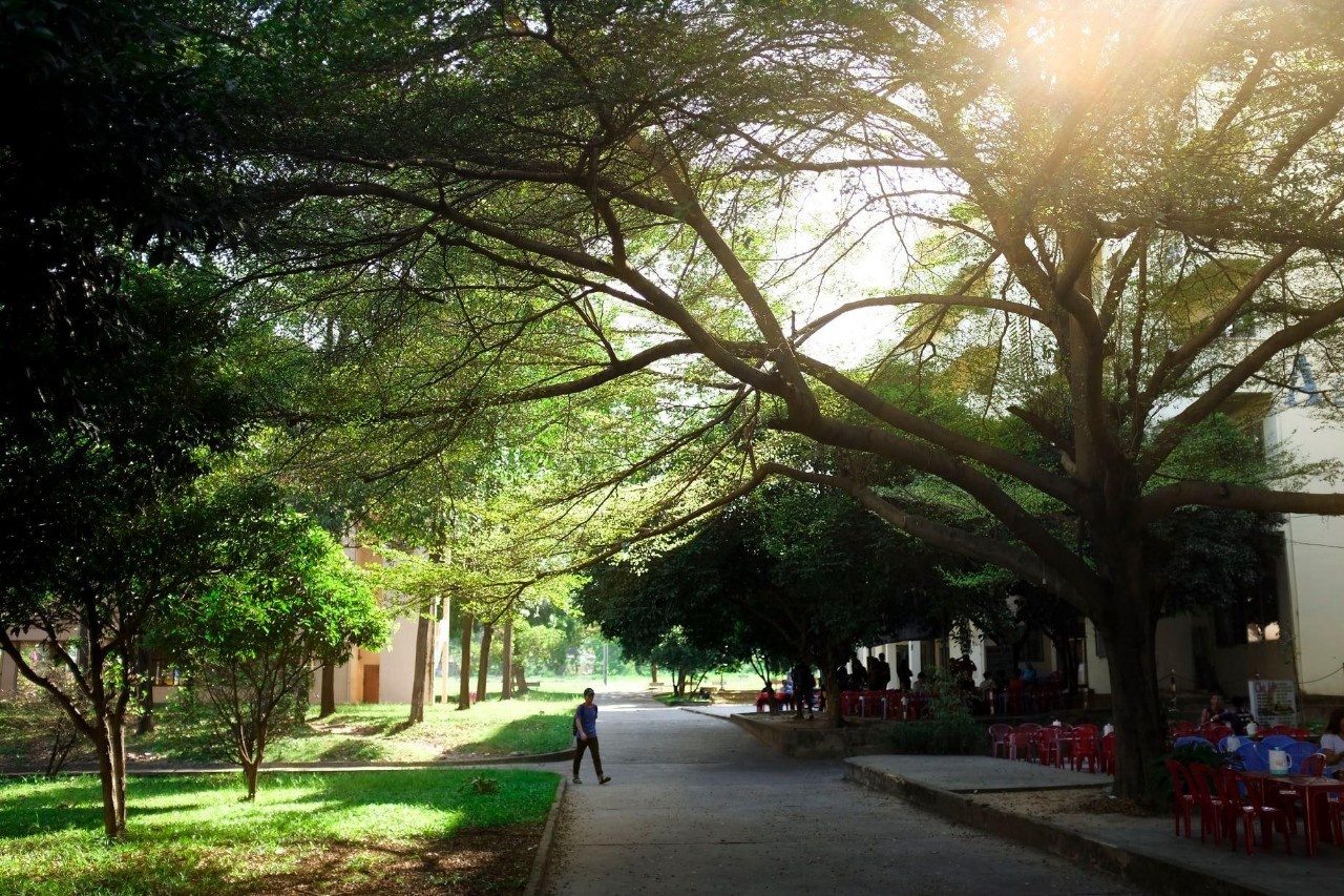 ký túc xá đại học quốc gia ảnh 3 ky tuc xa dai hoc quoc gia anh 3