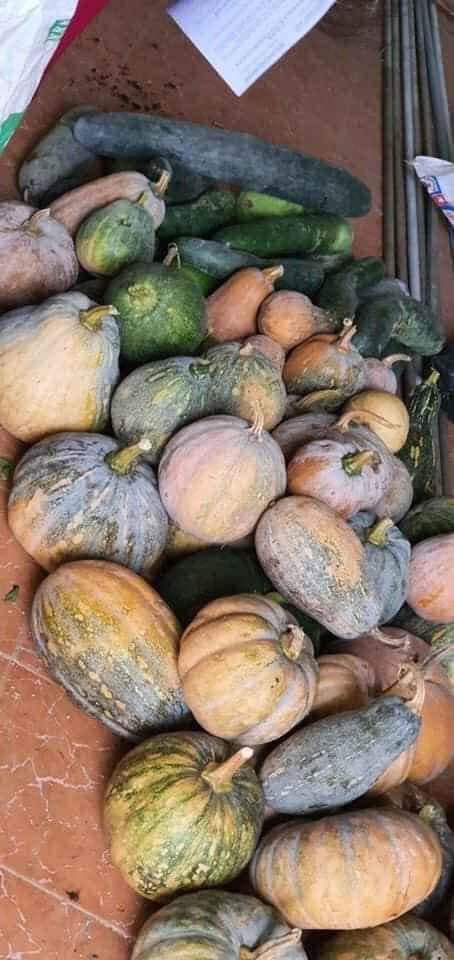 người dân ủng hộ khu cách ly ảnh 4 nguoi dan ung ho khu cach ly anh 4