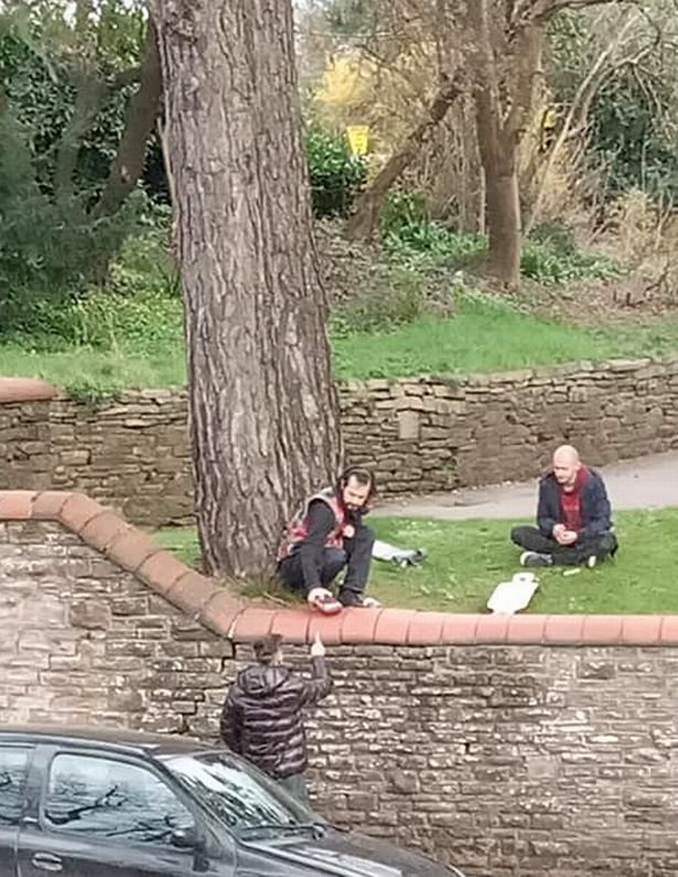 trèo thang vào công viên ảnh 3 treo thang vao cong vien anh 3