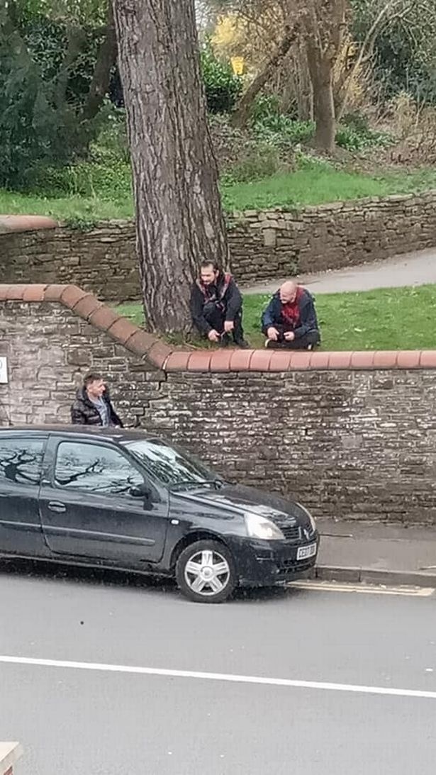 trèo thang vào công viên ảnh 2 treo thang vao cong vien anh 2