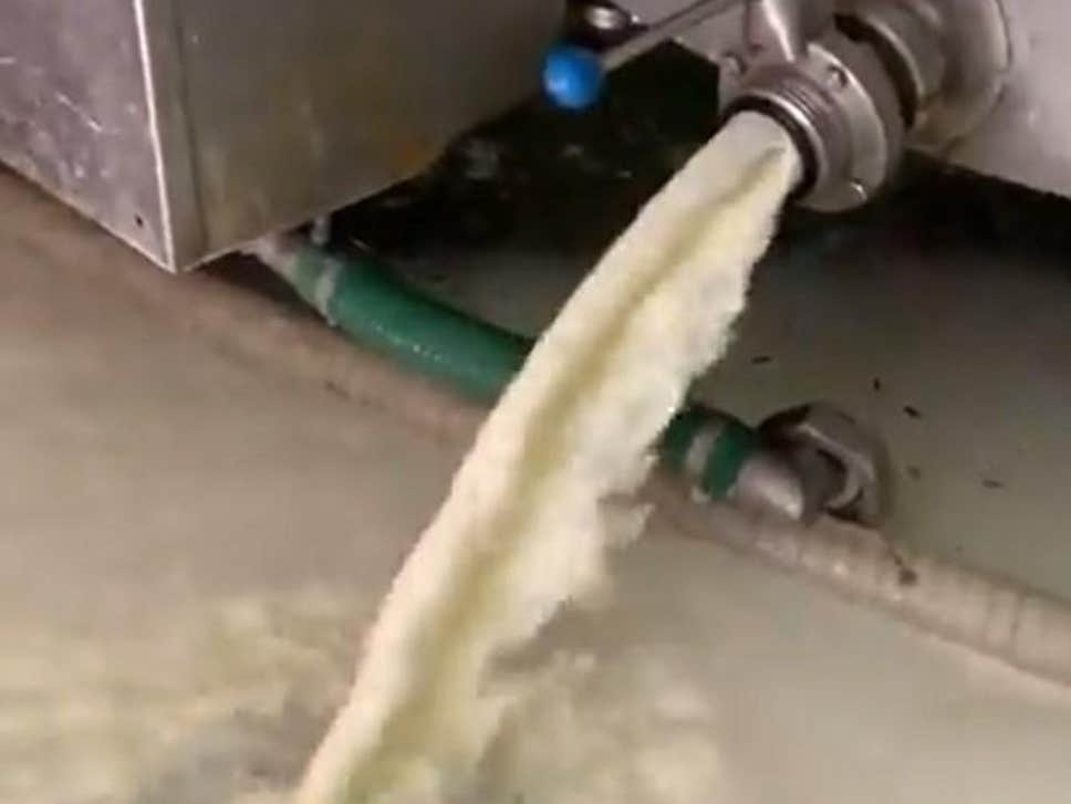 nong dan do sua bo anh 1