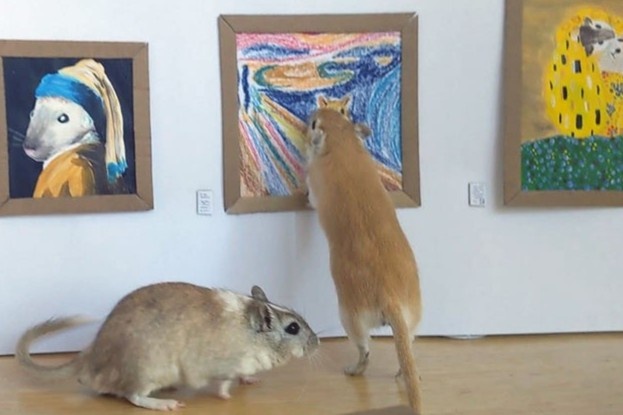 Cach ly tai nha, vo chong xay bao tang nghe thuat cho chuot cung hinh anh