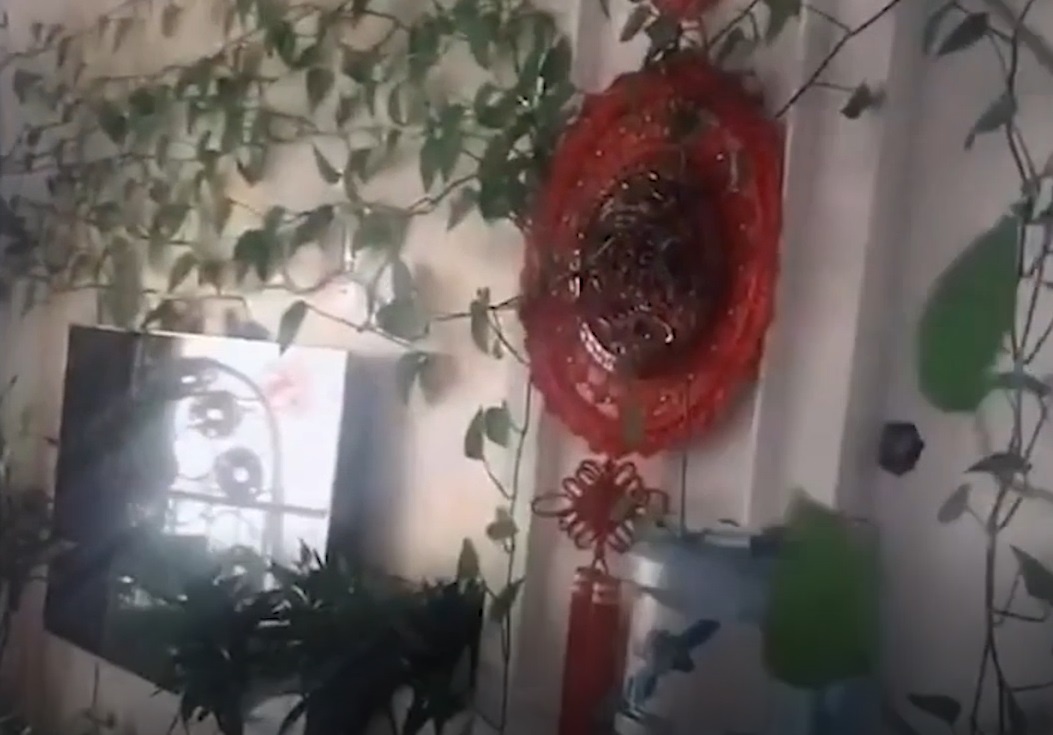 Phong khach bien thanh vuon cay sau 7 thang chu vang nha hinh anh