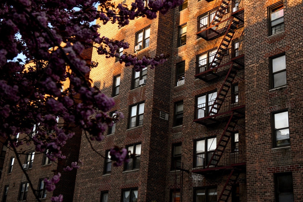 dich benh o new york anh 2