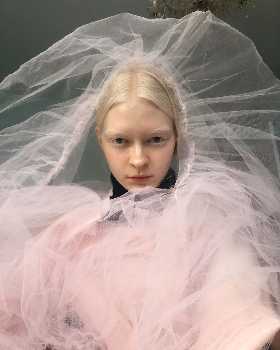 nguoi mau bach tang anh 8