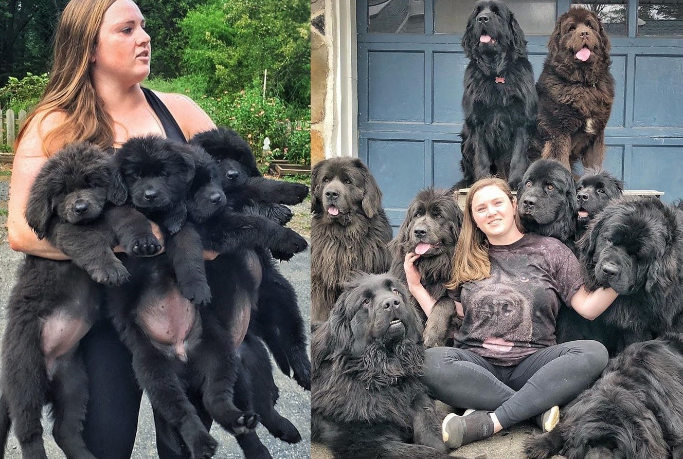 Cau chuyen xuc dong phia sau buc anh dan cho noi tieng 2 nam truoc hinh anh