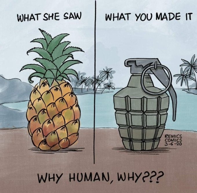 voi ăn trái cây chứa pháo ảnh 2 voi an trai cay chua phao anh 2