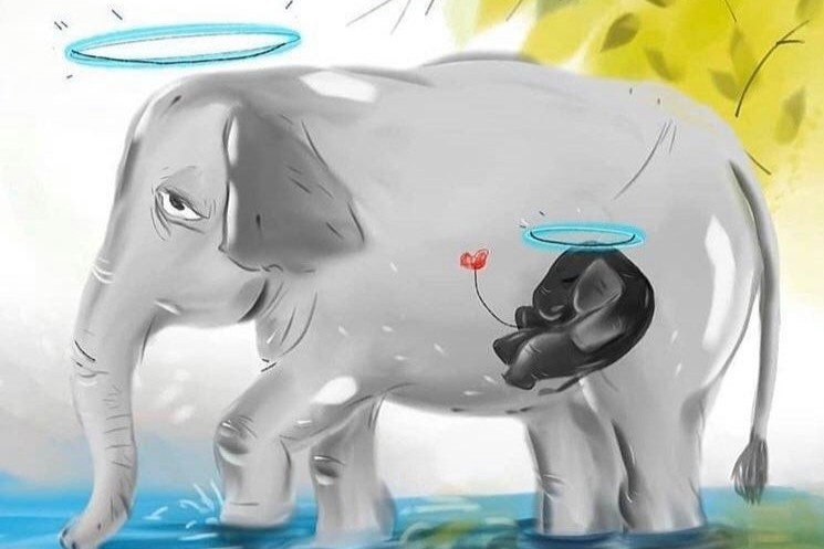 Dan mang phan no vi voi me mang thai chet khi an dua nhoi thuoc no hinh anh