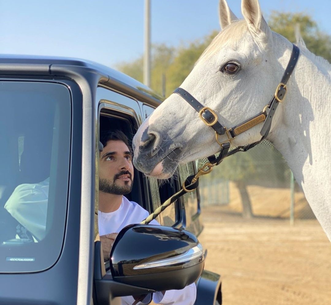 hoang tu la vdv dua ngua anh 6