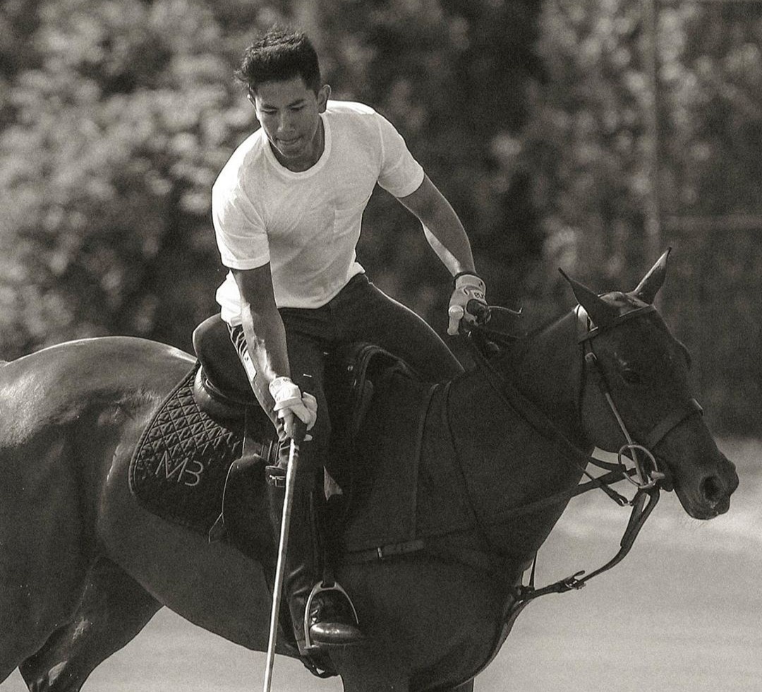 hoang tu la vdv dua ngua anh 2