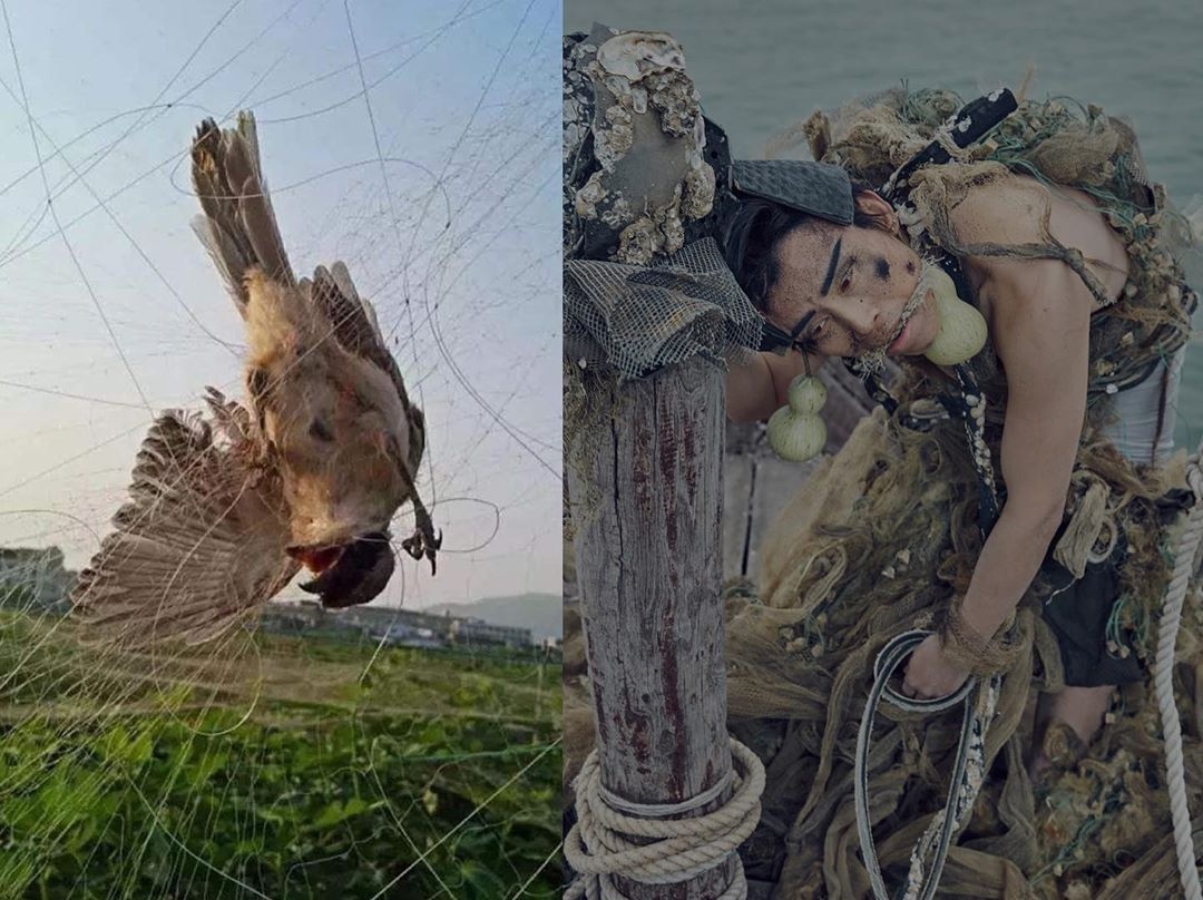 o nhiem dai duong anh 8