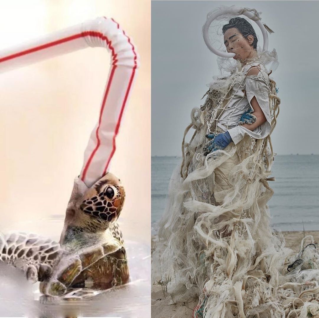 o nhiem dai duong anh 6